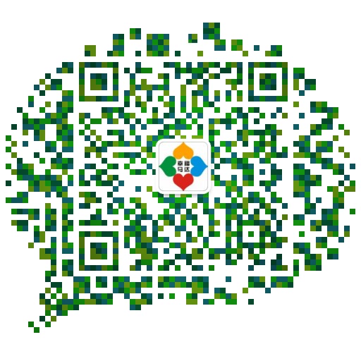 the qr code